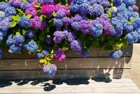 Summer Fridays Volume 7: New Tracks & Summer Vibes