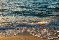 Summer Fridays Playlist Vol. 13: New Tracks for Sunny Days