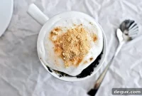 5-Minute Chocolate Fudge S’mores Mug Cake Recipe