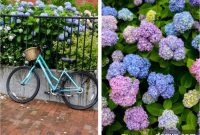 My Favorite Nantucket Finds — Enter the Giveaway!