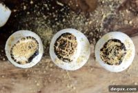 No-Bake S’mores Cheesecake Cups: Creamy Graham Cracker Treats