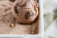Milk Chocolate Goat Cheese Ice Cream with Ganache Chunks