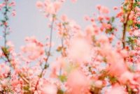 Currently Crushing On: Who I’m Loving Right Now and Why