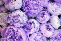 Currently Crushing On: How to Know and Navigate a New Crush