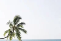 Currently Crushing On — August 1, 2015: Style & Finds