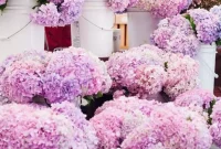 Currently Crushing On: Trending Celeb & Pop Culture Obsessions