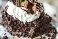 Chocolate Tres Leches Cake Recipe (Step-by-Step Video)