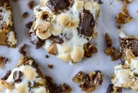 Chocolate Chip S’mores Cookie Bars