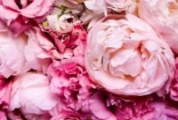 Currently Crushing On: Trending Things I’m Obsessed With Right Now