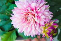 Currently Crushing On: What I’m Loving Right Now