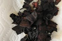 Recipe Disasters from 2018: Epic Kitchen Fails and What Went Wrong