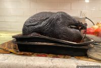 Top Cooking Disasters from 2019: Recipe Fails and Fixes