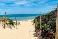 Summer Fridays Vol. 1: Sunlit Tracks for Weekend Vibes