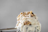 Salted Chocolate Chip Cookie Dough No-Churn Ice Cream