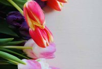 Currently Crushing On: What I’m Loving Right Now and Why