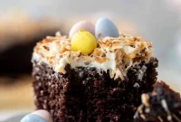 Decadent Chocolate Coconut Cake for Easter Celebration