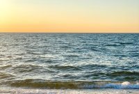 Summer Fridays Vol. 12: New Music, Hits & Playlists