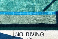 Summer Fridays Volume 8: New Music Releases & Playlist Picks