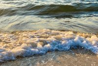 Summer Fridays Vol. 12 — New Summer Music & Vibes