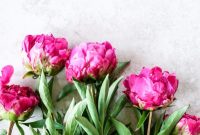 What I’m Currently Crushing On: New Finds and Faves