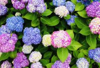 Summer Fridays Vol. 5: New Summer Beauty & Wellness Picks