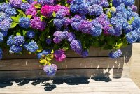 Summer Fridays Volume 7: The Ultimate Summer Music Mix