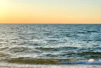 Summer Fridays Volume 9: Top Picks for Sun-Soaked Weekends