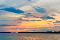 Summer Fridays Volume 14: New Music & Summer Vibes playlist