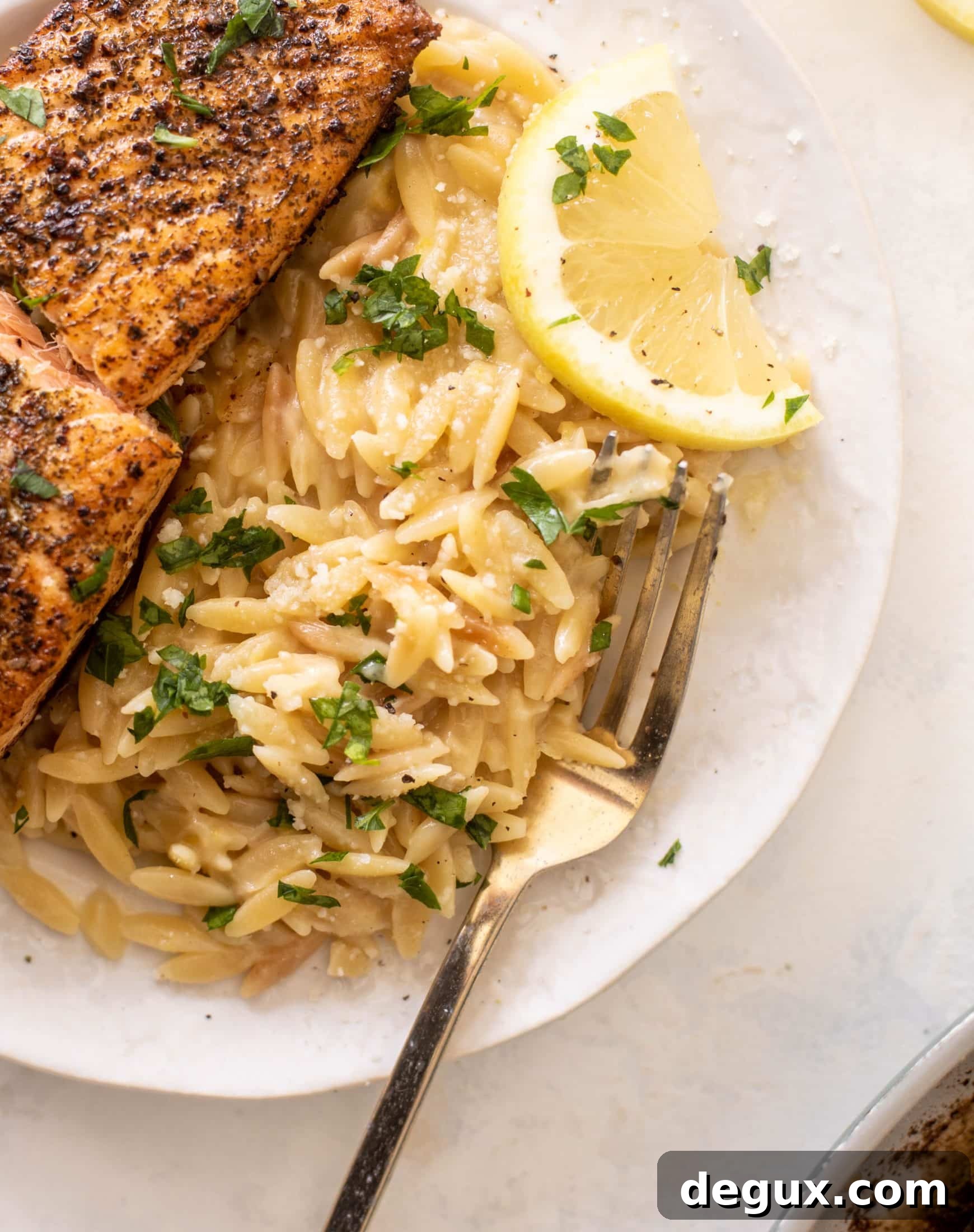 Lemon Parmesan Orzo with Garlic Salmon 8 salmon aglio olio with lemon parm orzo