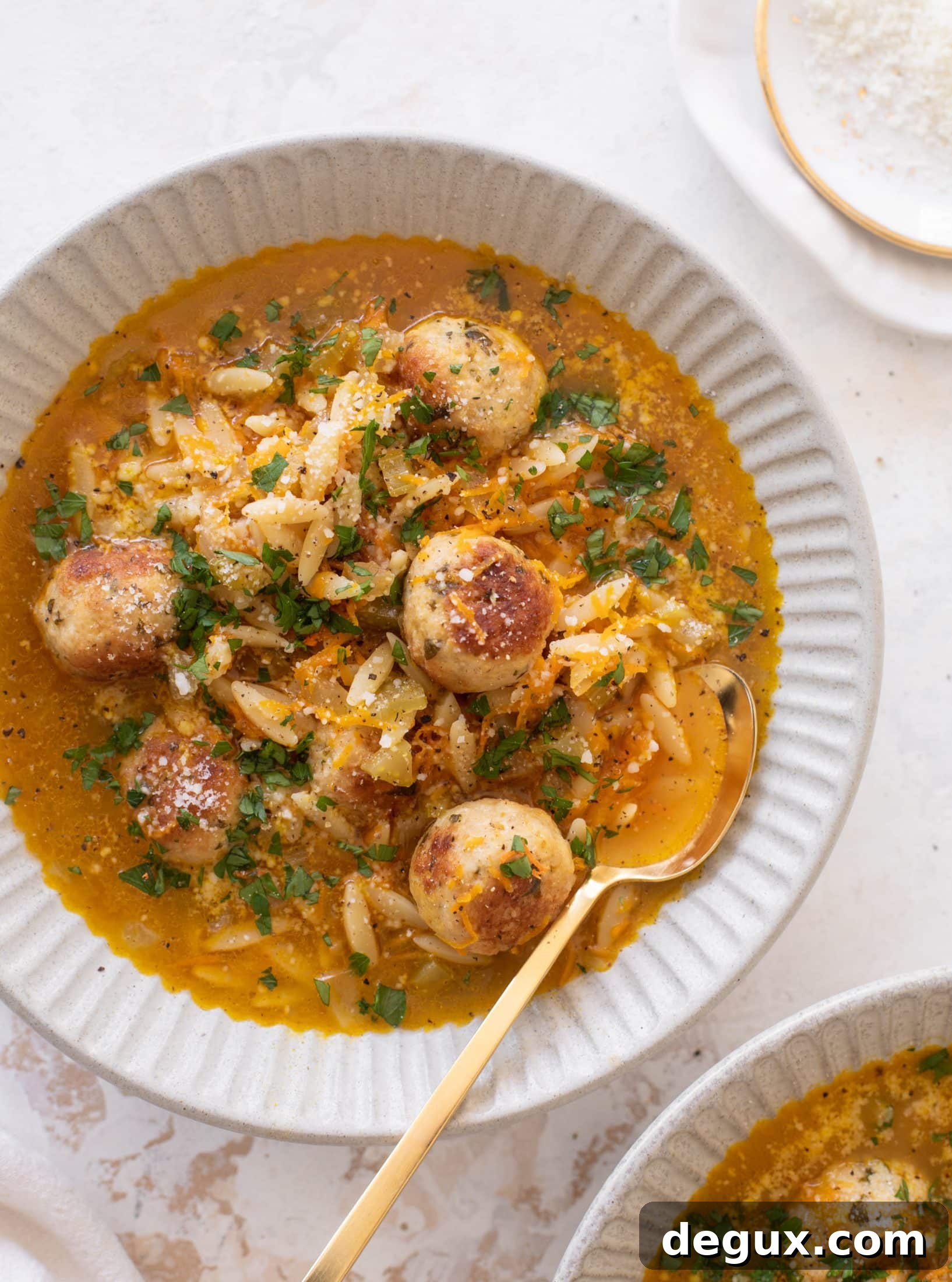 chicken meatball noodle soup