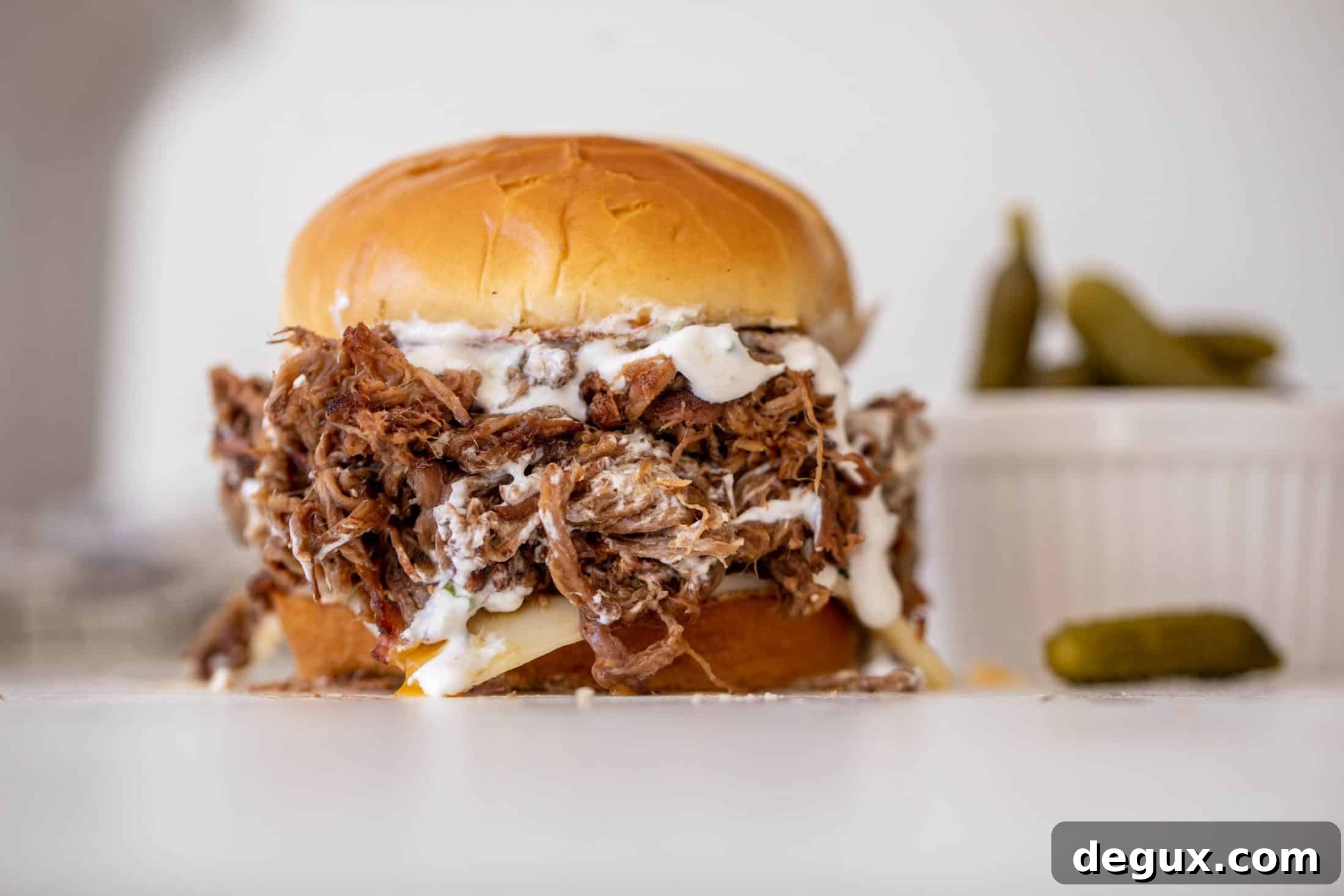 Pumpkin Beer Slow-Cooked Shredded Beef Sandwiches 8 img 101410 7