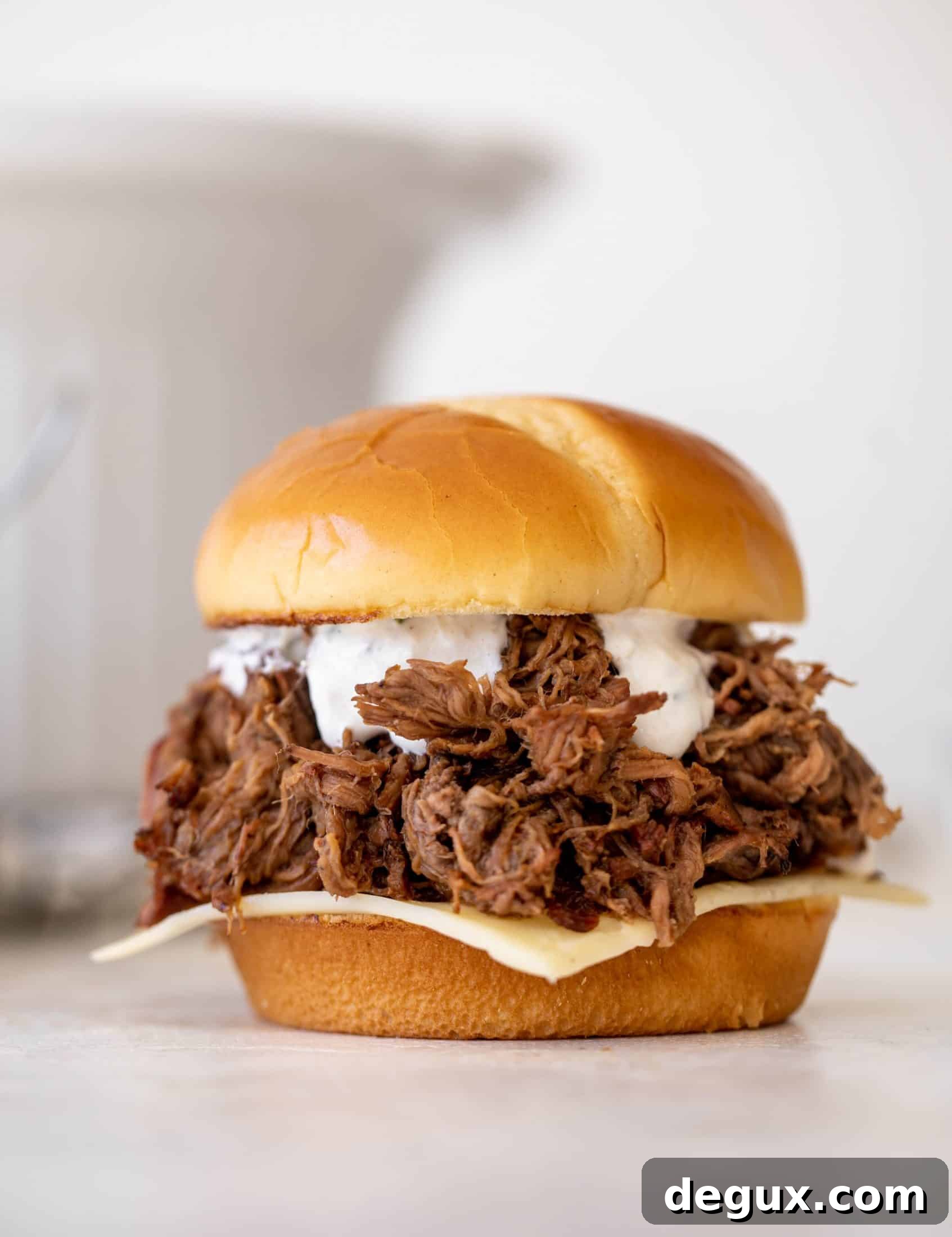 Pumpkin Beer Slow-Cooked Shredded Beef Sandwiches 10 img 101410 9