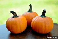 Autumn Harvest Apple Soup Recipe for Cozy Weeknight Meals