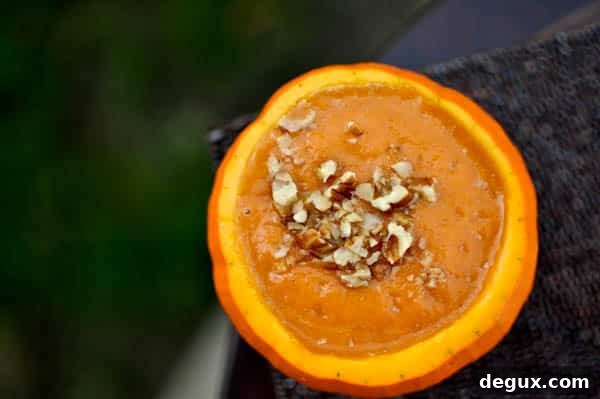 Harvest Apple Soup