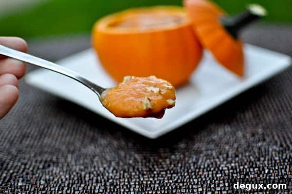 Harvest Apple Soup