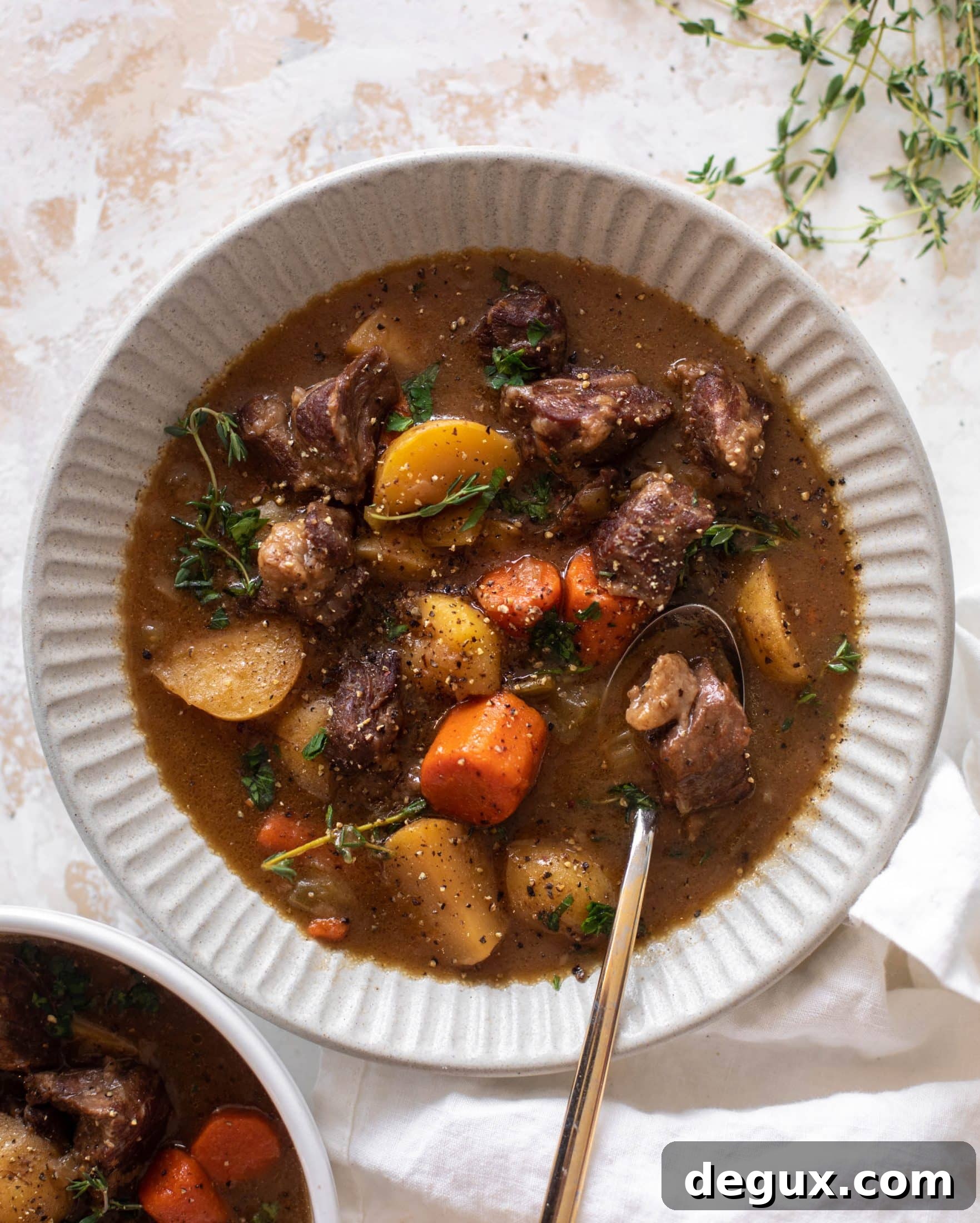 Cozy Caramelized Onion Beef Stew Recipe for Comforting Dinners 2 caramelized onion beef stew