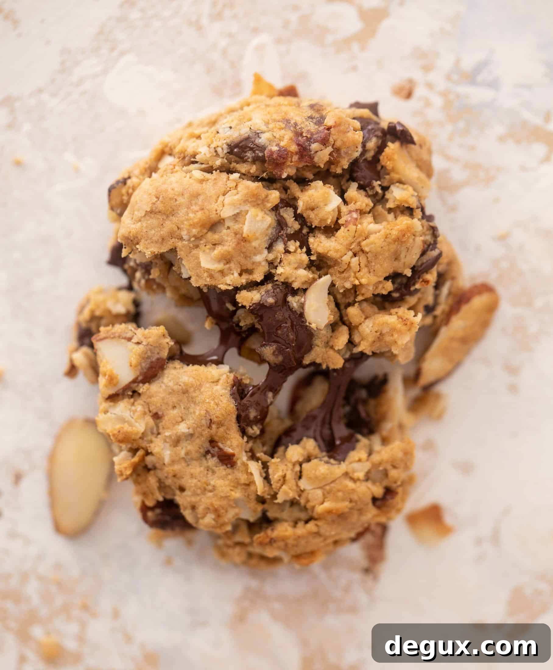 chocolate peanut butter breakfast cookies
