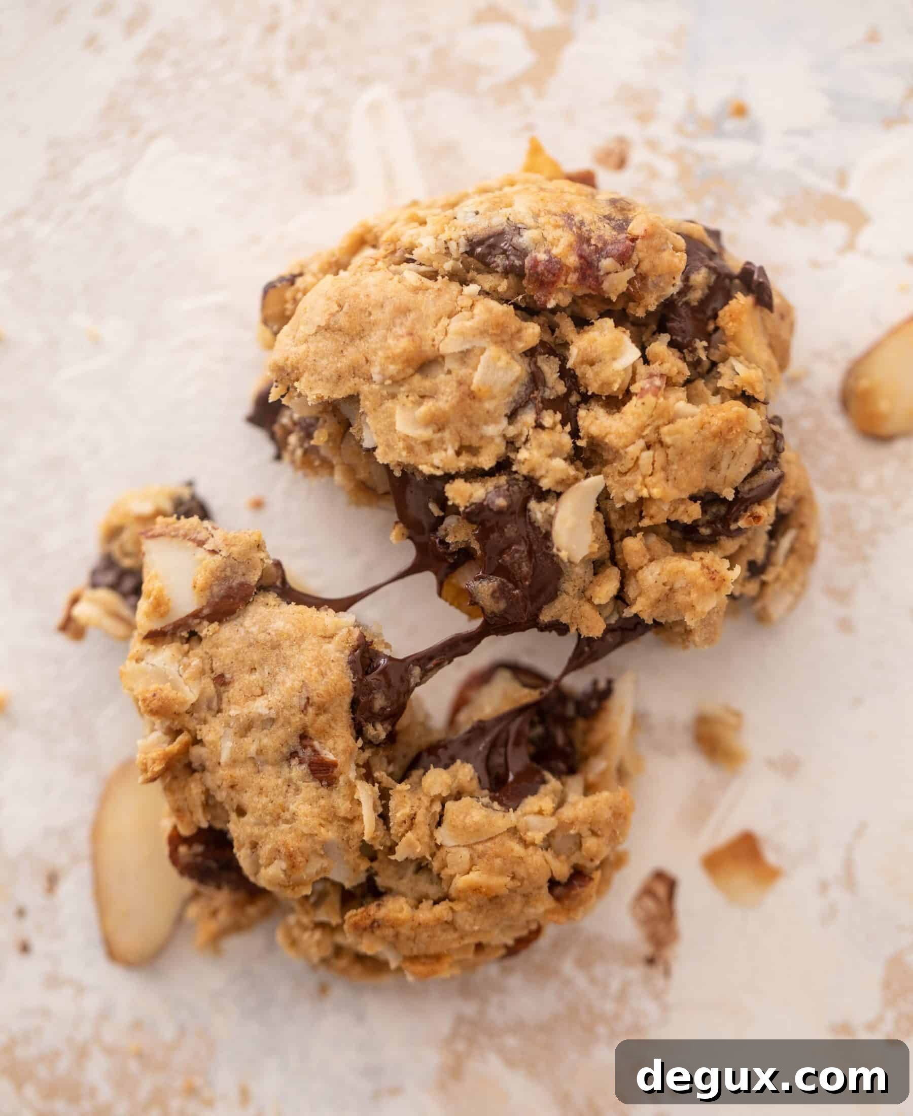 chocolate peanut butter breakfast cookies