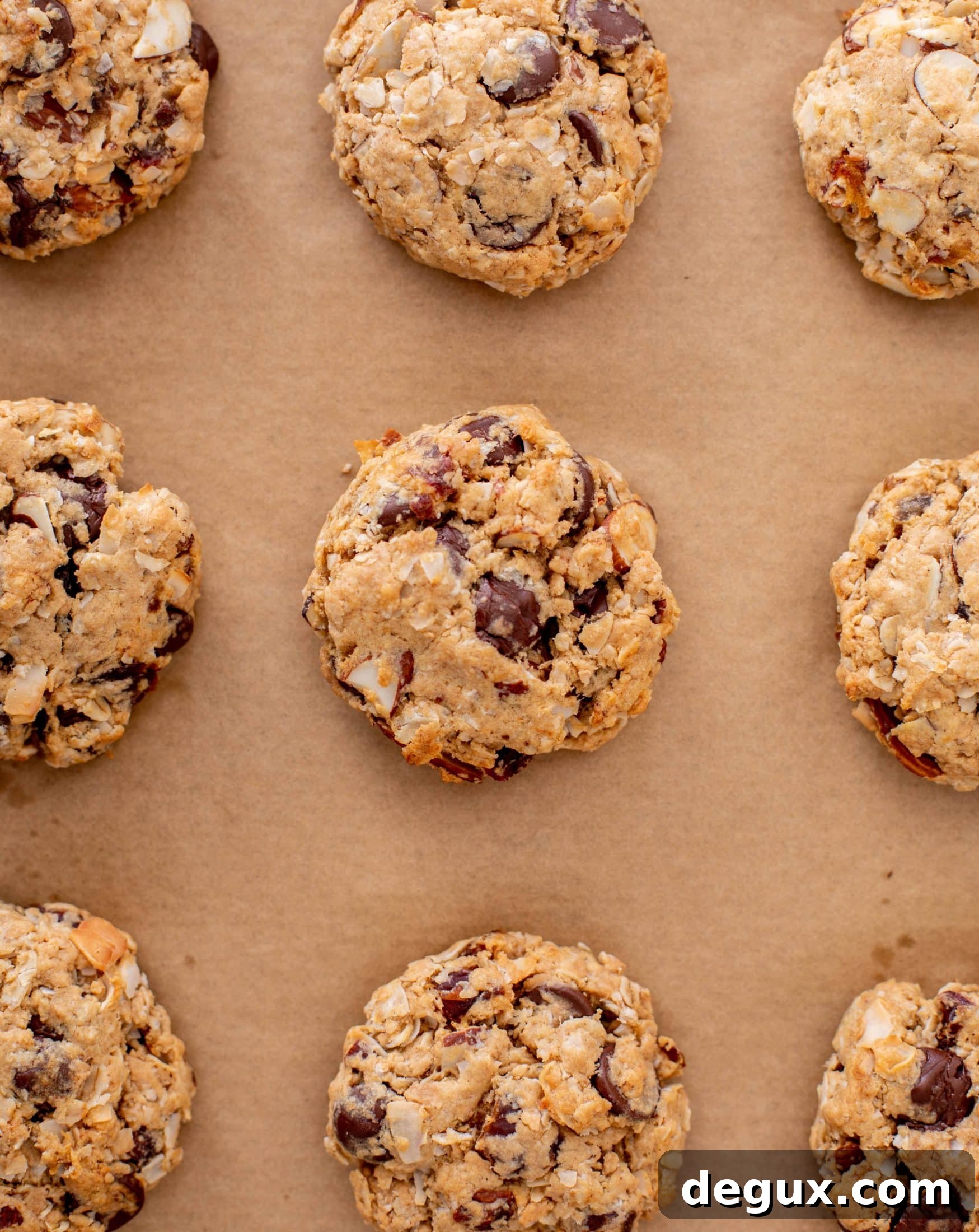 chocolate peanut butter breakfast cookies