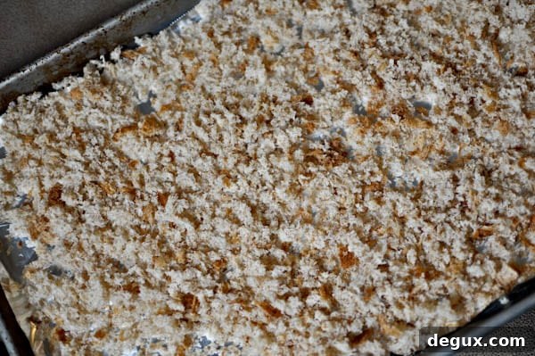 panko-4 img 10592 5