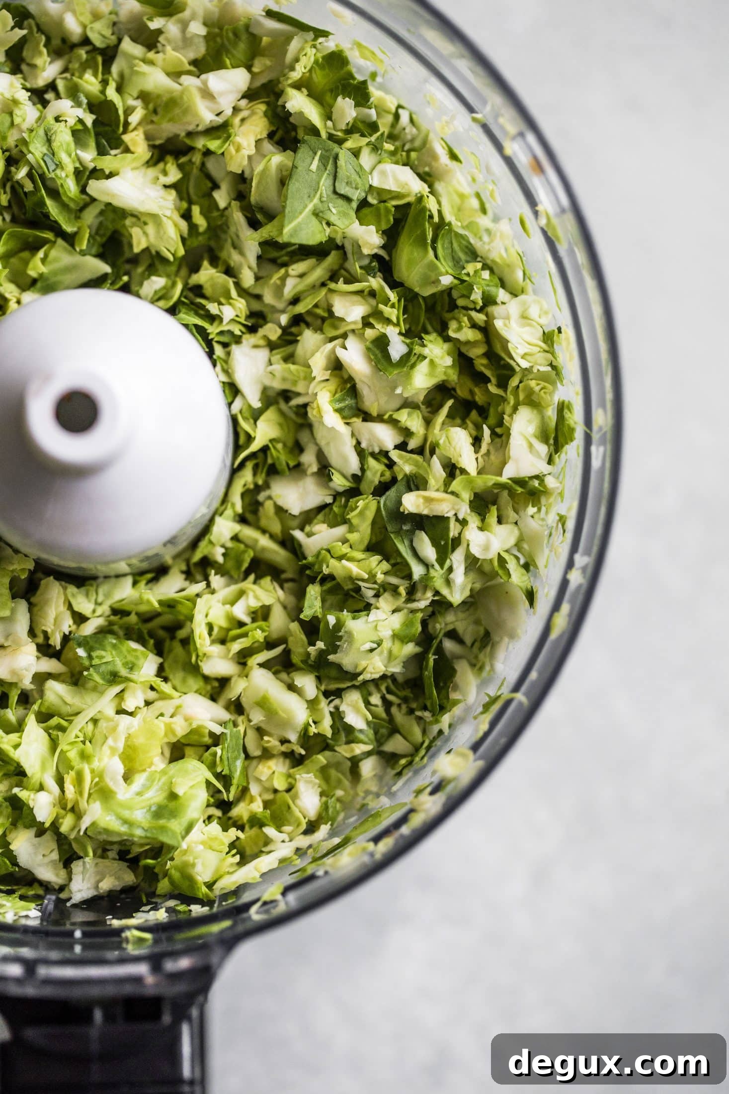 Shredded Brussels Sprouts Salad with Lemon Parmesan Dressing 3 shredded brussels sprouts salad I howsweeteats.com