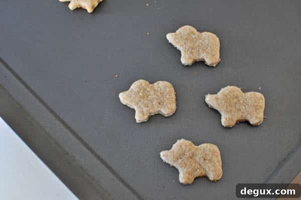 elephant cookie
