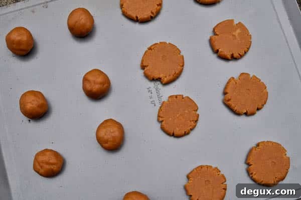 pbj-2 Peanut butter and jelly cookie close-up