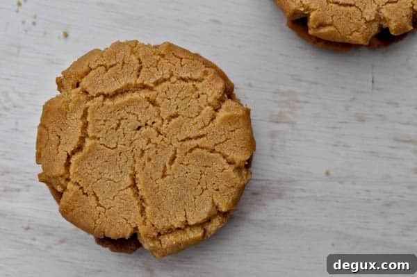 pbj-7 Stack of peanut butter and jelly cookies