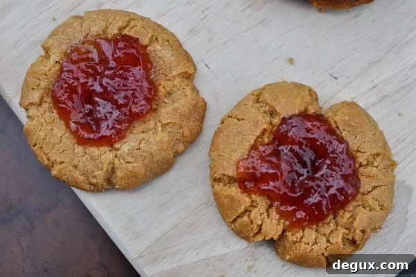 pbj-8 Assorted PB&J cookies