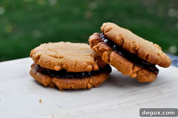 pbj-9 Final peanut butter and jelly cookies