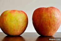 Chunky Cinnamon-Balsamic Sauteed Apples for Fall Desserts