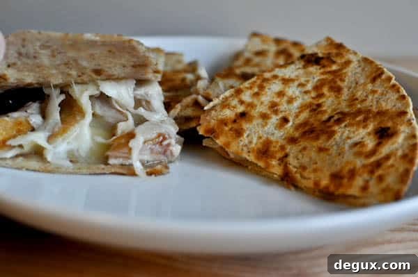 Quesadilla close-up