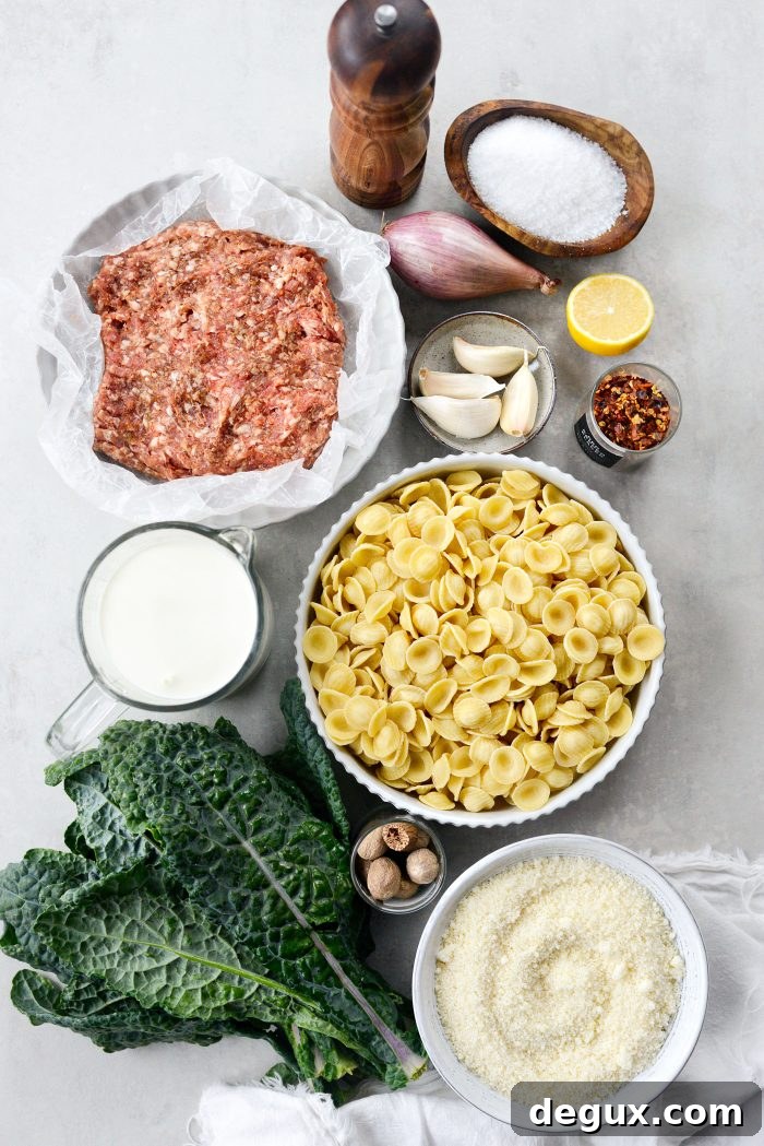 ingredients for Parmesan Orecchiette with Sausage and Kale