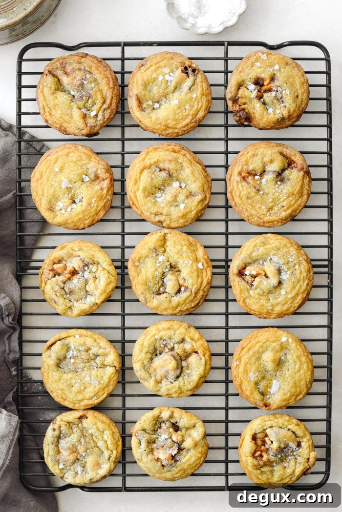 cool cookies